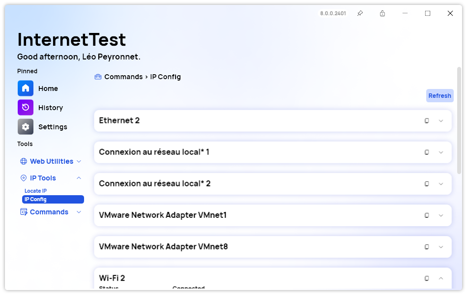 A screenshot of the 'IP Config' page of InternetTest Pro